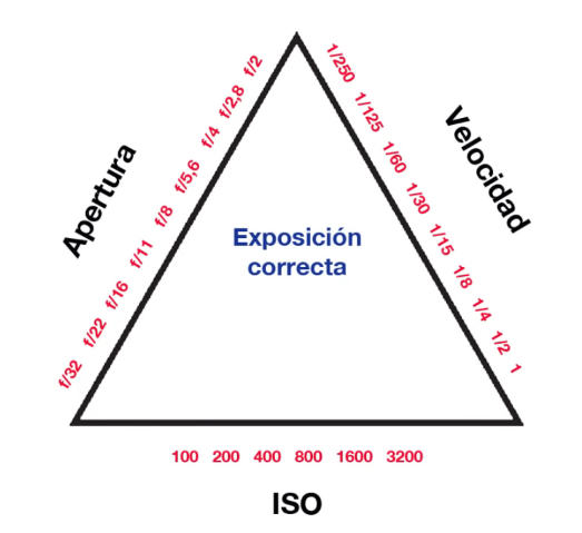 Triangulo exposicion 1